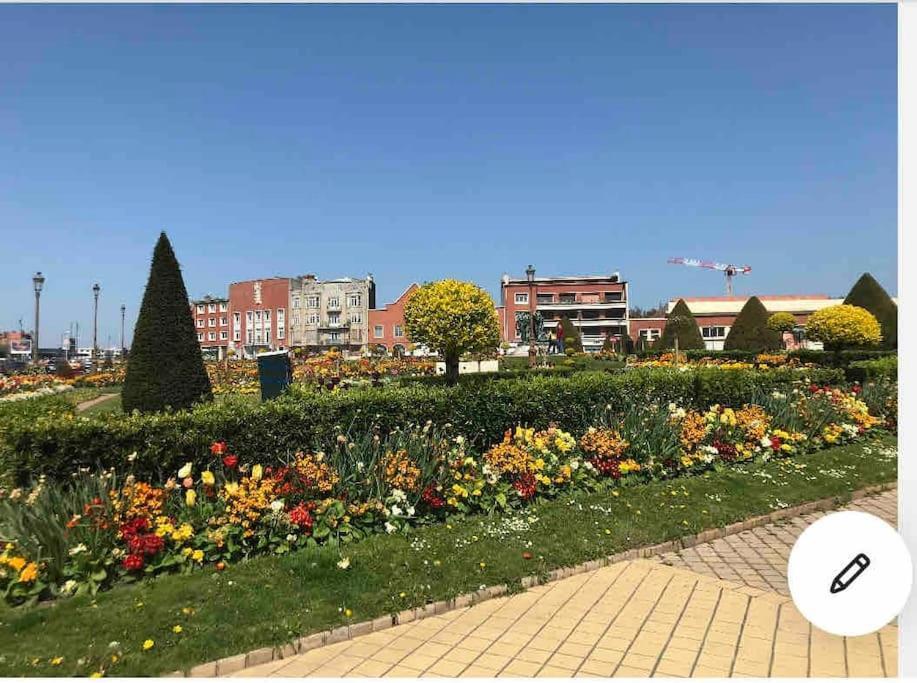 Casa Inca Calais - Duplex Soleil Latino - Parking Free, Station Appartement Buitenkant foto